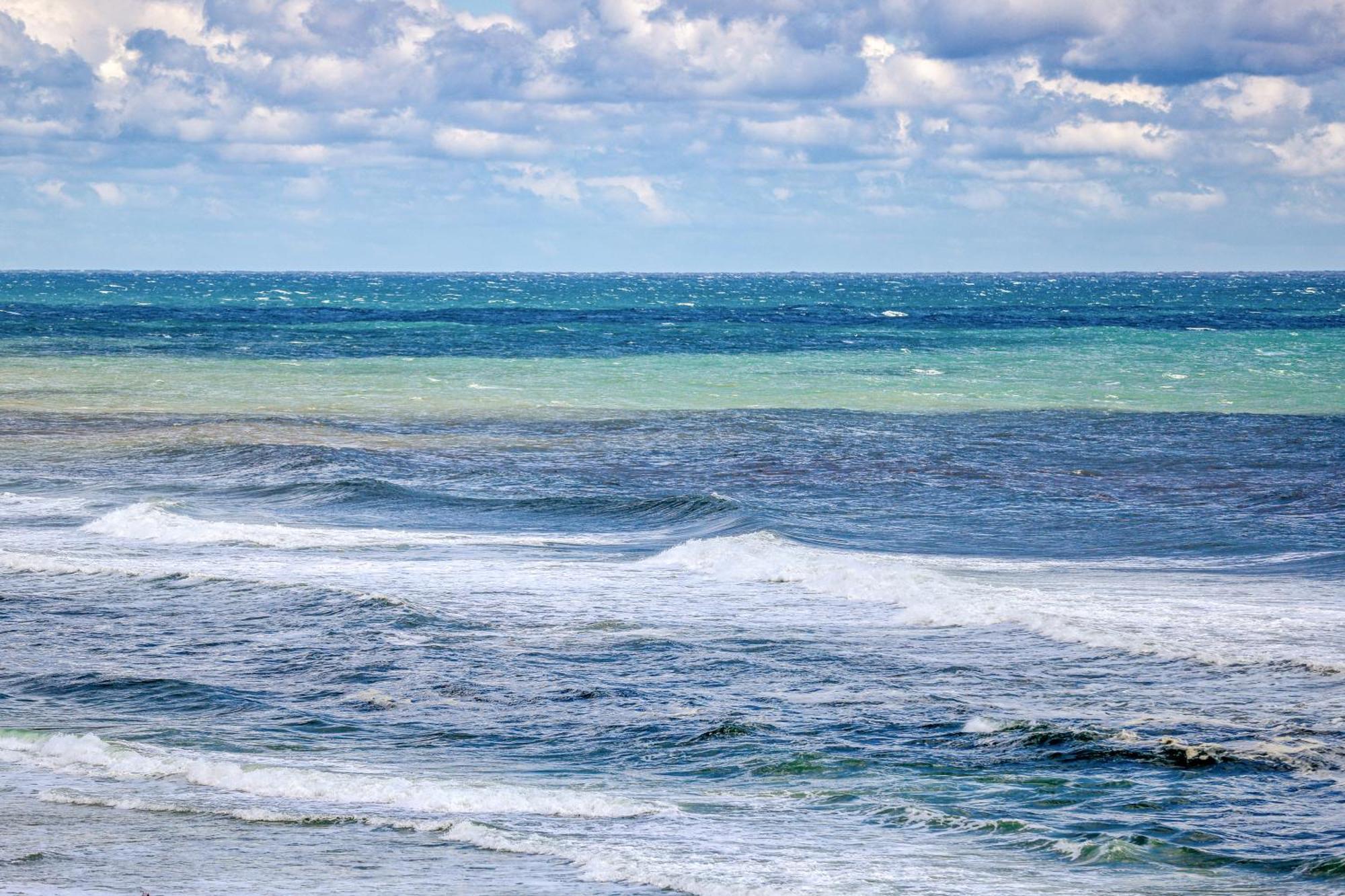 Seychelles Beach Resort IV Panama City Beach Oda fotoğraf
